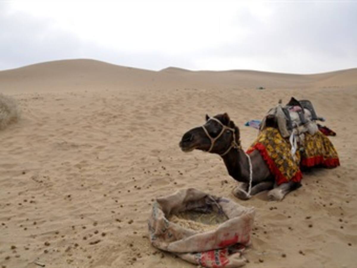 Está creciendo el desierto de Mauritania