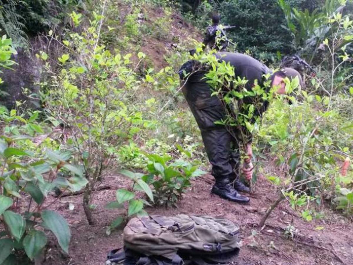 ONU apoyará nuevos proyectos para fomentar la cultura de la legalidad