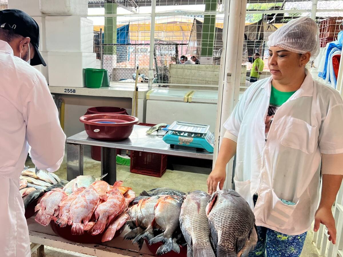 Se realizan operativos de control para garantizar calidad del pescado en Semana Santa