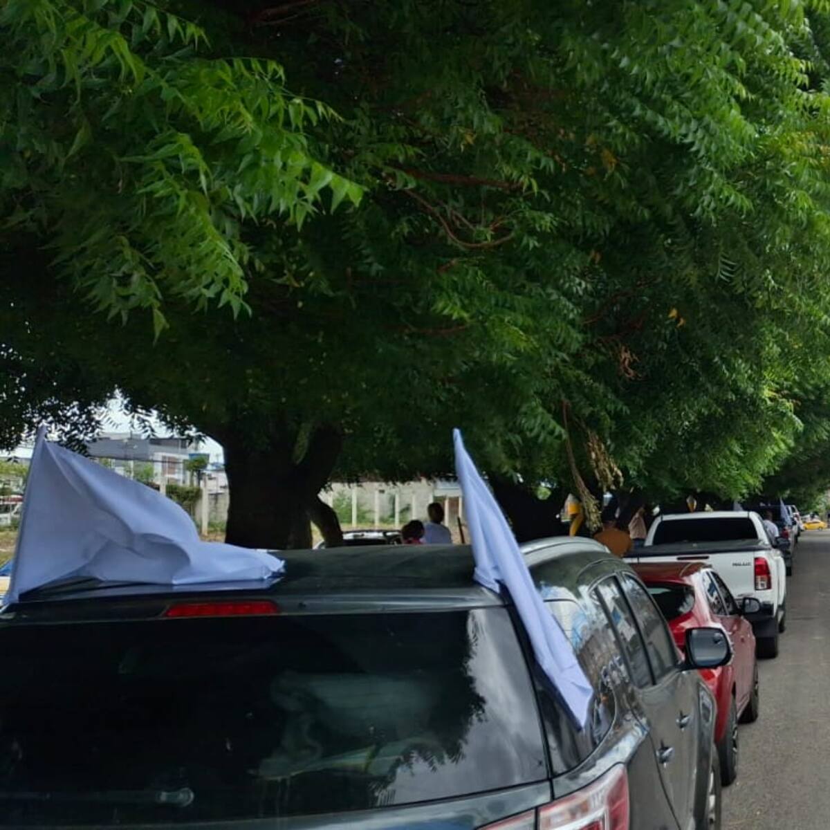 Catatumbo impulsa Asamblea Humanitaria para declarar la región territorio de paz