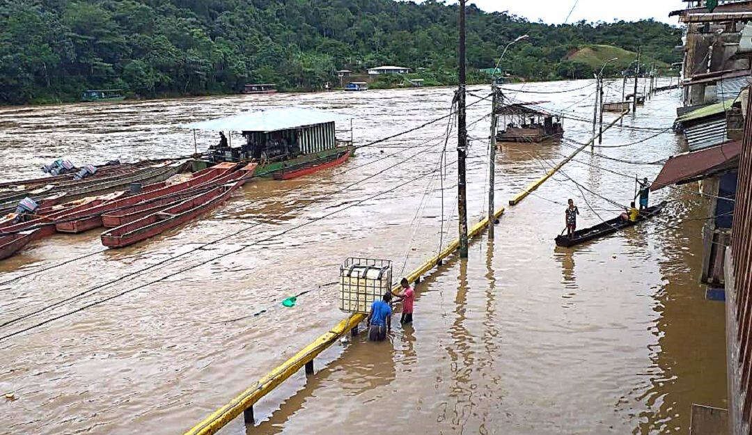 Imagen de referencia