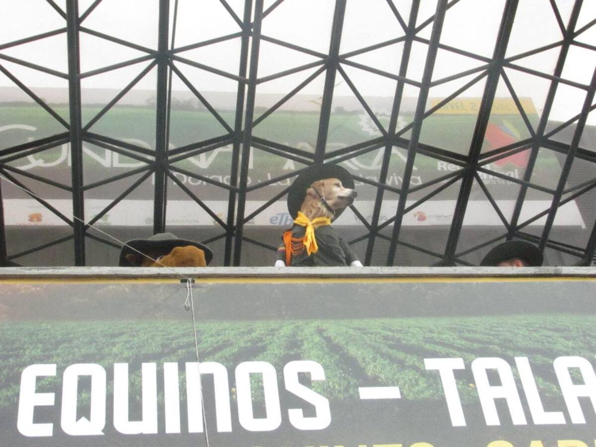 Título de la imagen