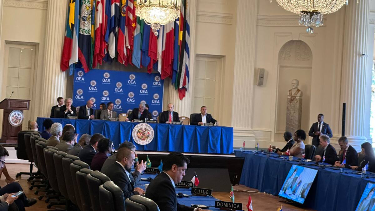 ¿Cuáles fueron las reacciones de miembros de la OEA ante el discurso de Petro?