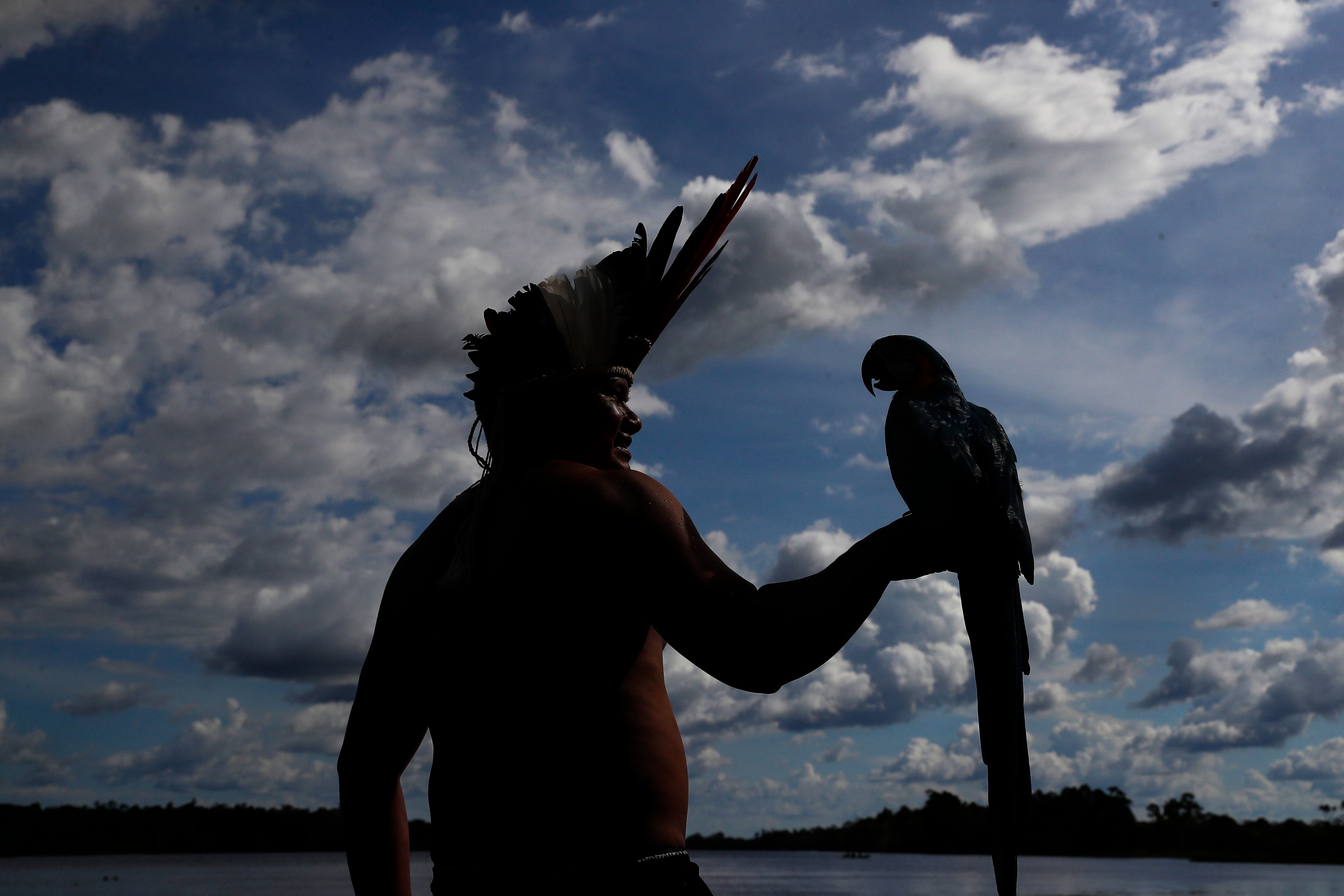 SILVES (BRASIL), 19/06/2024.- Amazonía EFE/ Antonio Lacerda