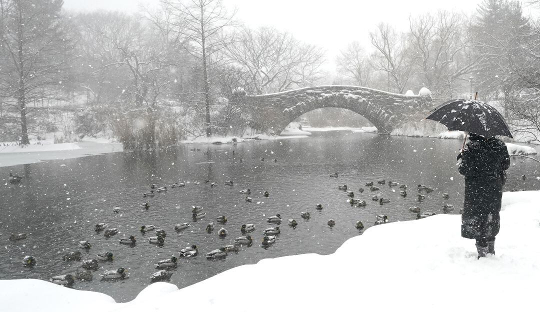 Más de 100 millones de estadounidenses se encuentran en alerta por el fenómeno natural 