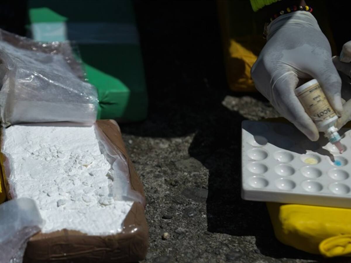 En Argelia no cabe una hoja de coca más: alcalde