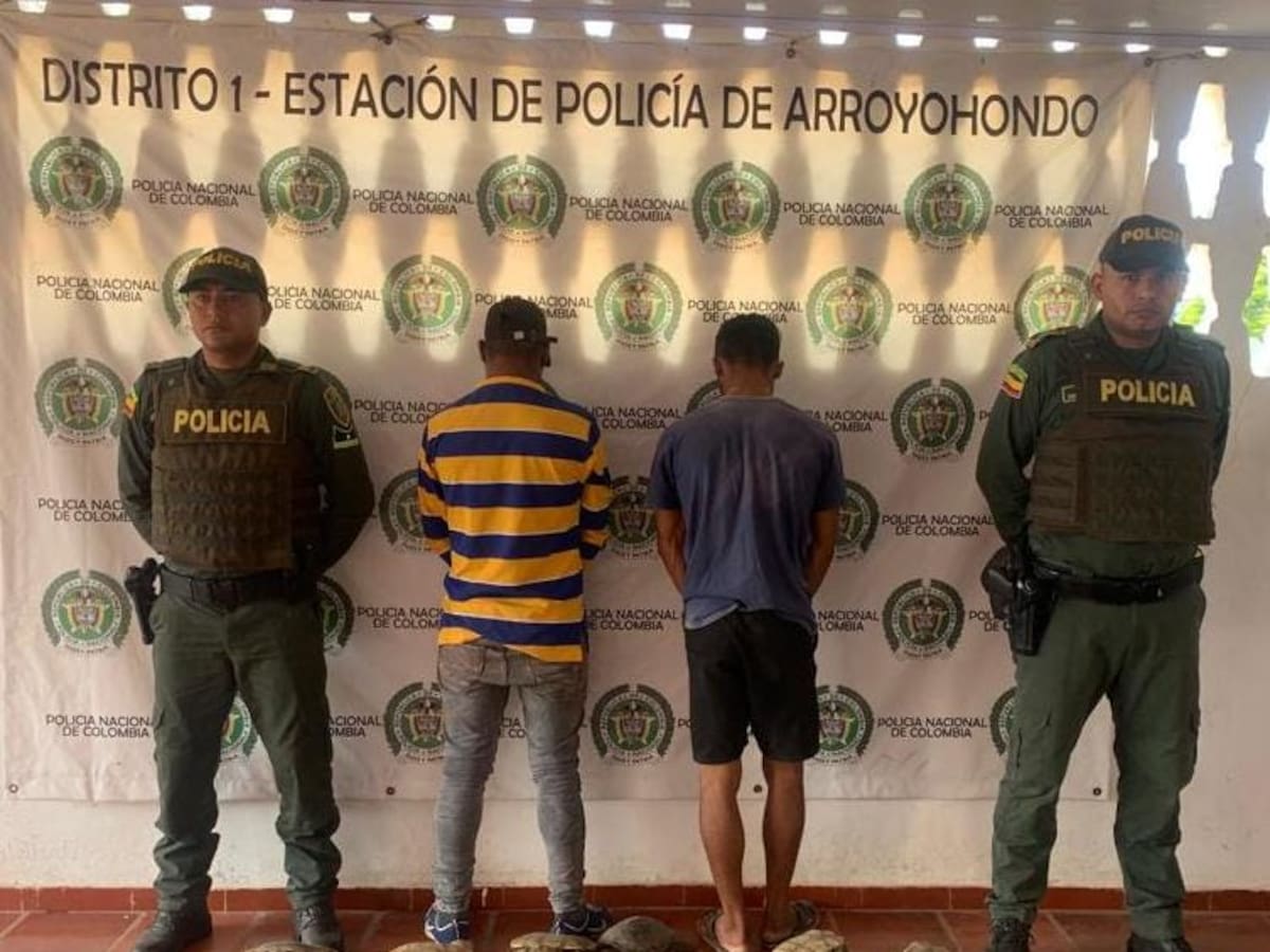 Policía rescató 17 hicoteas que iban a ser comercializadas en Arroyohondo