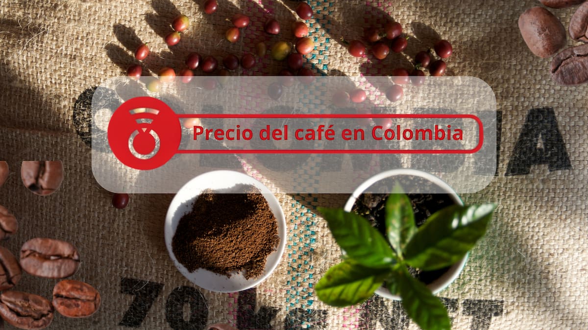 Precio del café en Colombia HOY 31 de julio 2026: la carga cierra la semana al alza