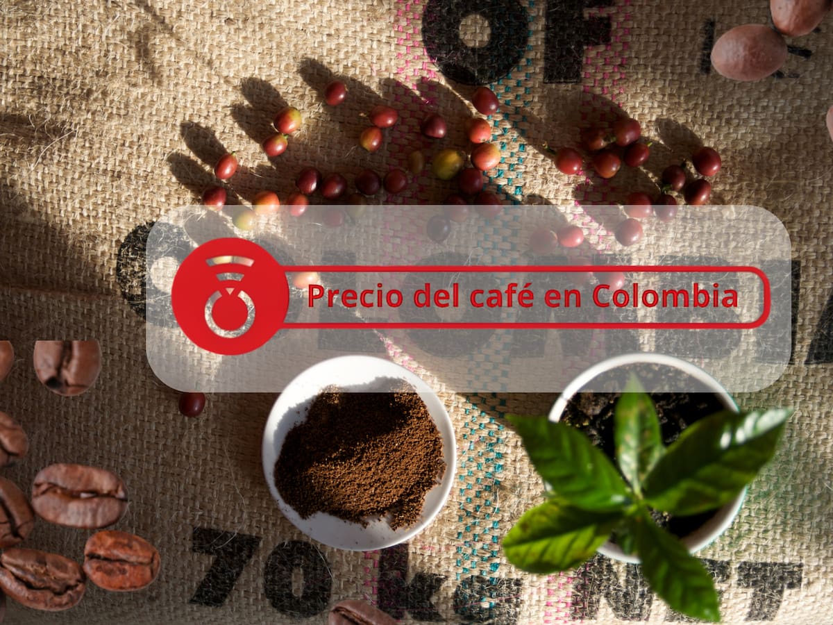 Precio del café en Colombia HOY 31 de julio 2026: la carga cierra la semana al alza