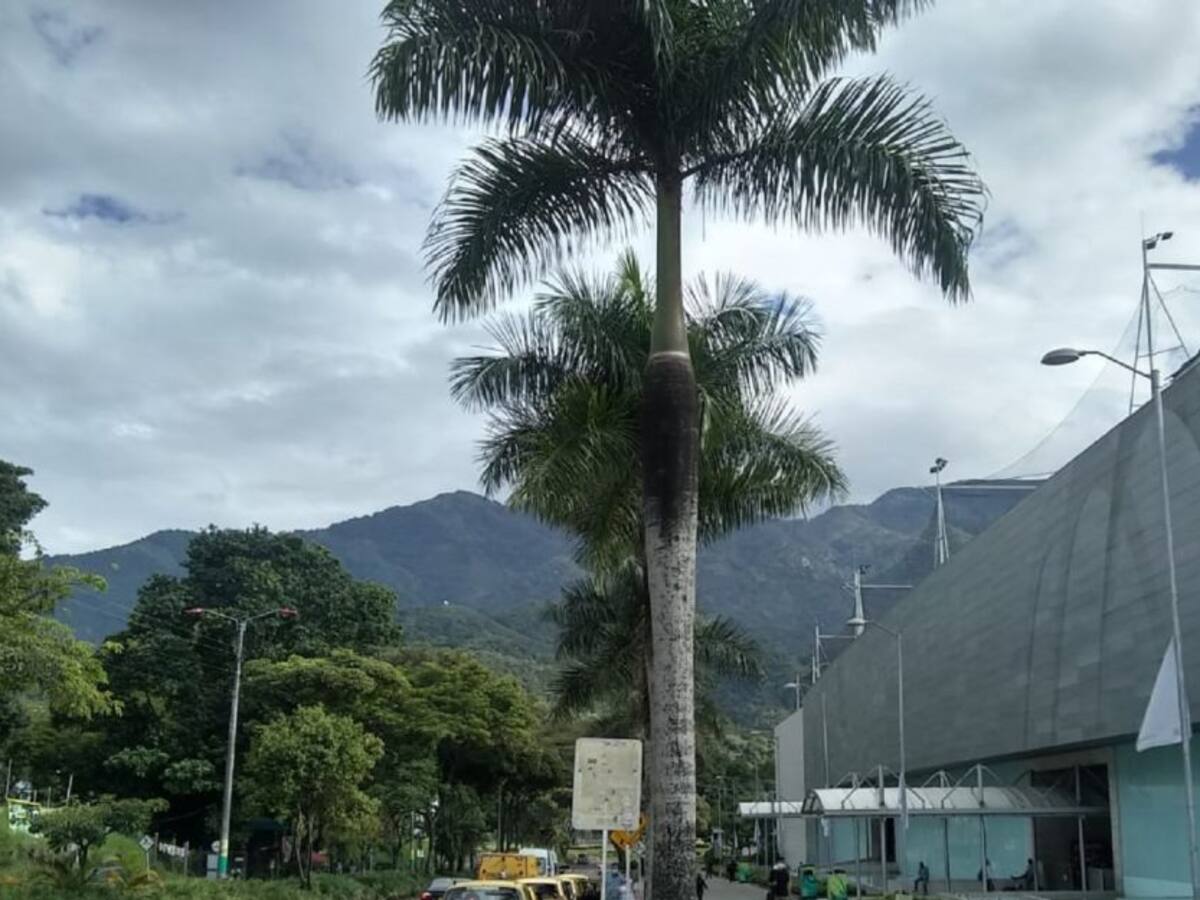 Este jueves plantón pacífico por parte del comercio en Ibagué