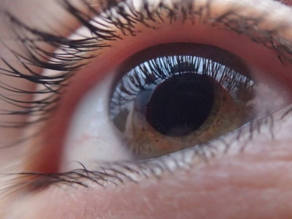 Se ve con el cerebro y se enfoca con el ojo