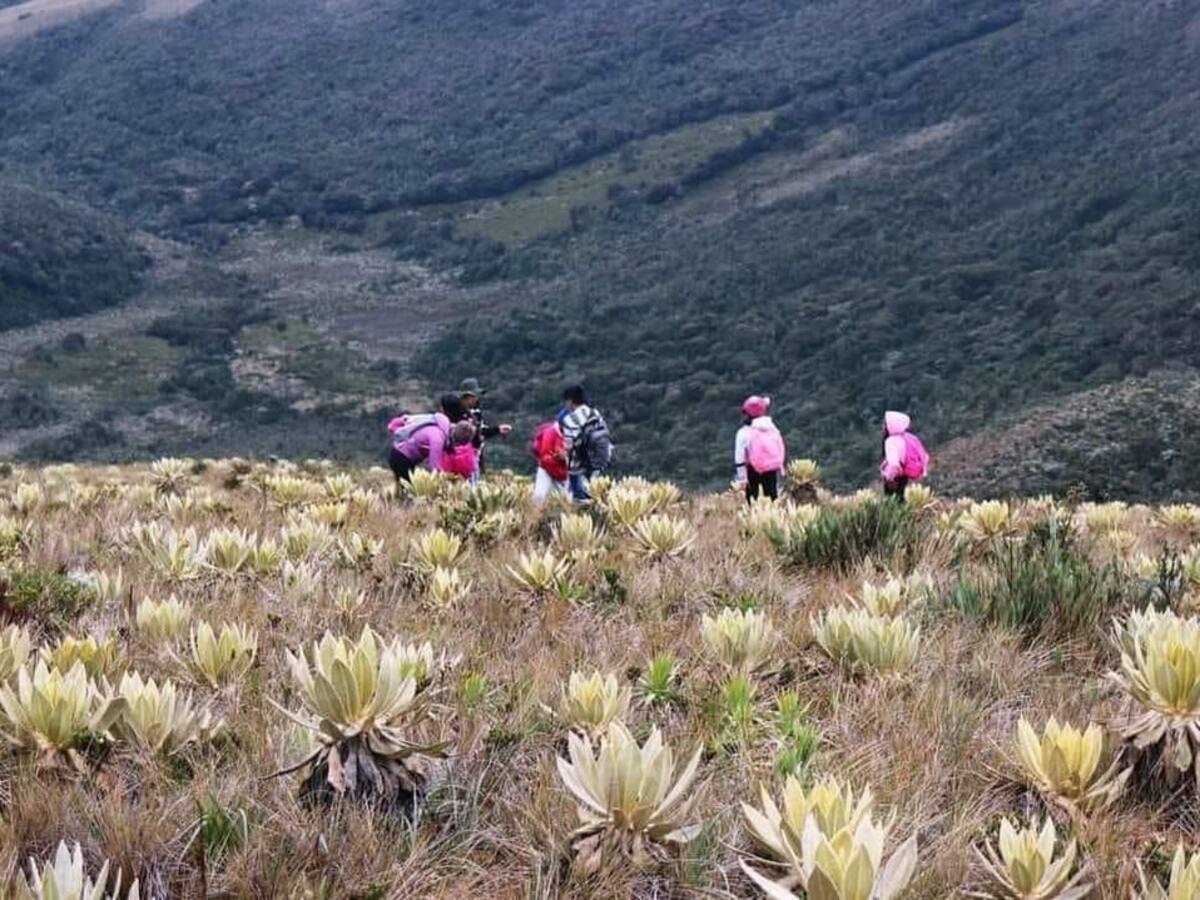 Buscan a 13 integrantes de las comunidades indígenas desaparecidos en Cauca