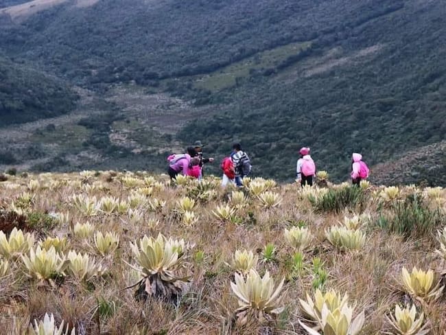 Buscan a 13 integrantes de las comunidades indígenas desaparecidos en Cauca
