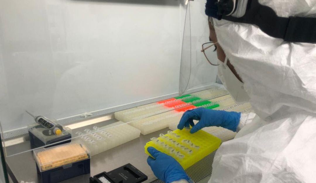 Aumentan contagios de coronavirus en Risaralda.