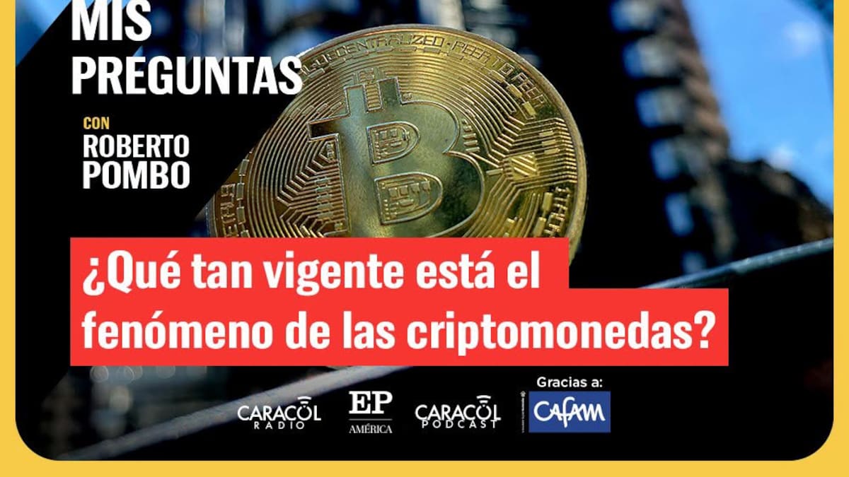 ¿Qué pasó con el auge de las criptomonedas?