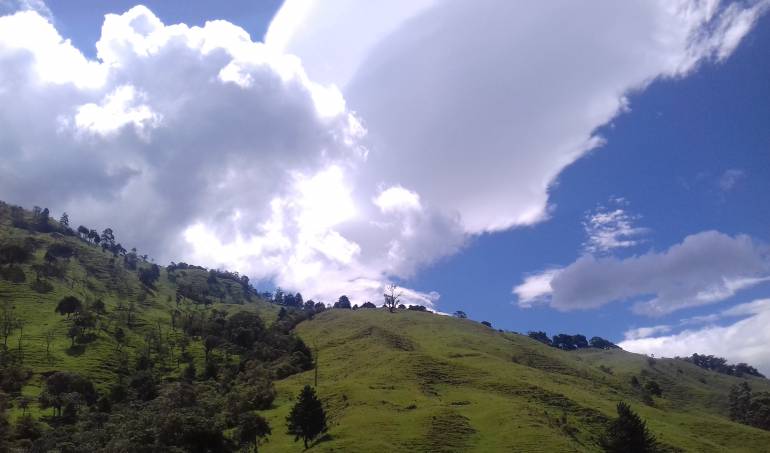 Estos entornos montañosos proveen hábitats para una amplia variedad de especies