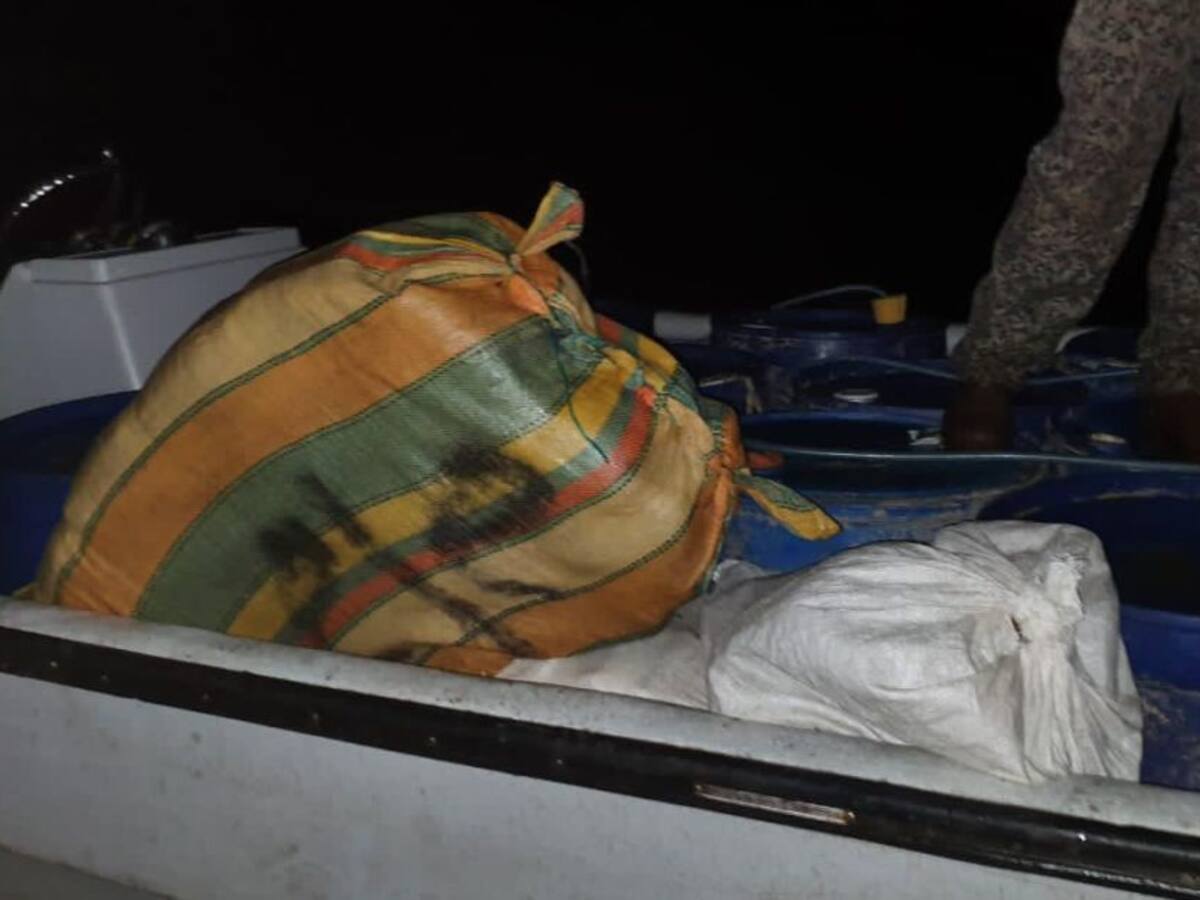 Armada en Buenaventura decomisó dos toneladas y media de marihuana