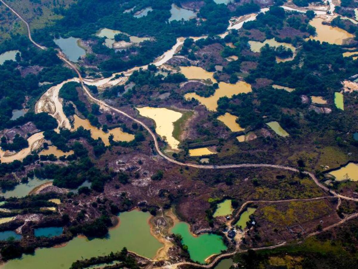 Brasil aprobó 7 proyectos de exploración de oro en el Amazonas
