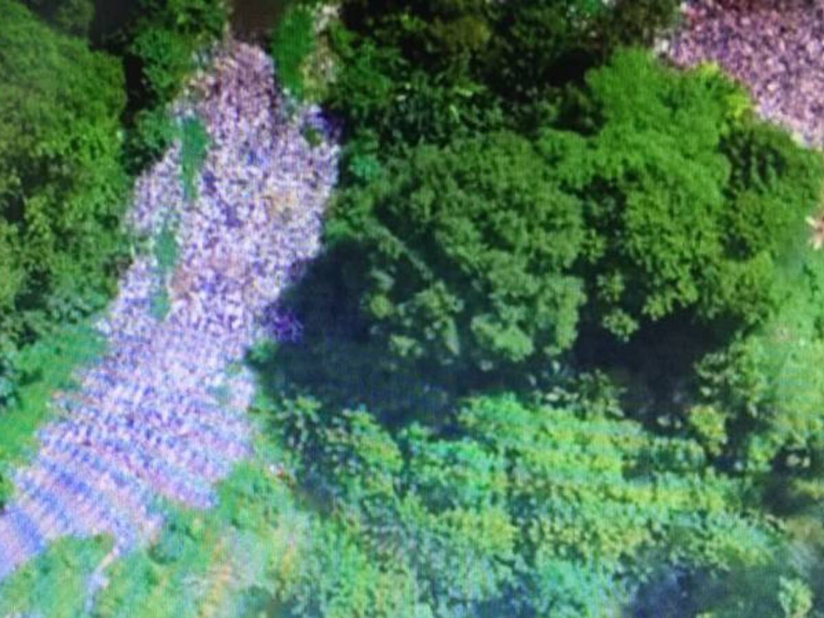 Más de un año de crisis ambiental por basuras en Bahía Solano (Chocó)