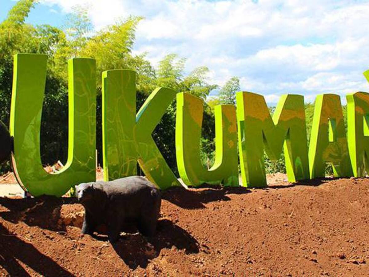 Los animales del Bioparque Ukumarí también disfrutarán de la Navidad