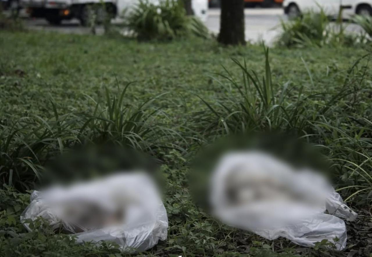 Foto: suministrada comunidad de Pereira