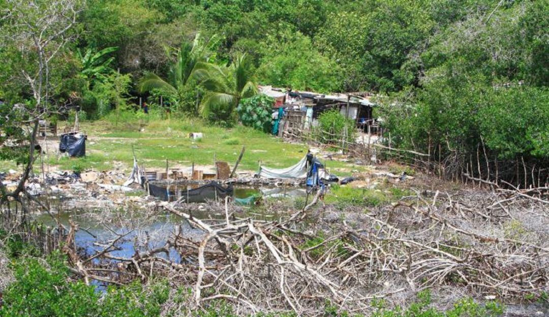 Ciénaga de la Virgen