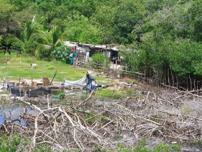 Ciénaga de la Virgen
