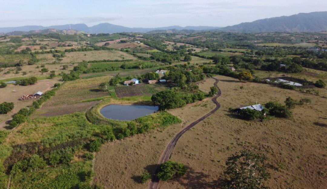 Con $5.591 millones invertidos en proyectos productivos, el 57% de las personas en reincorporación consolidan su sostenibilidad