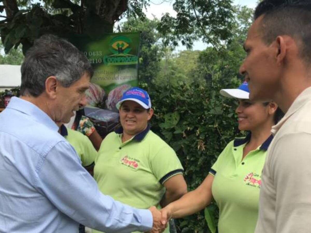 Arauca es el segundo departamento exitoso en sustitución de cultivos