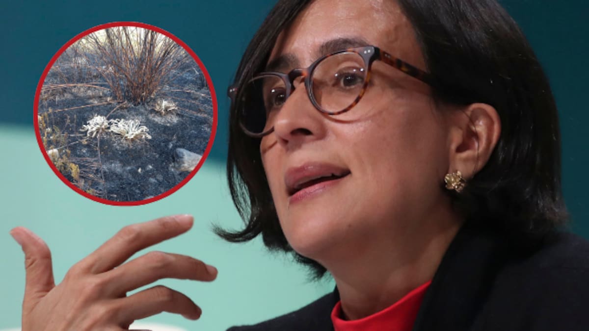 “Hay fuertes indicios de que incendio en Chingaza fue provocado”: esto dijo la ministra Muhamad