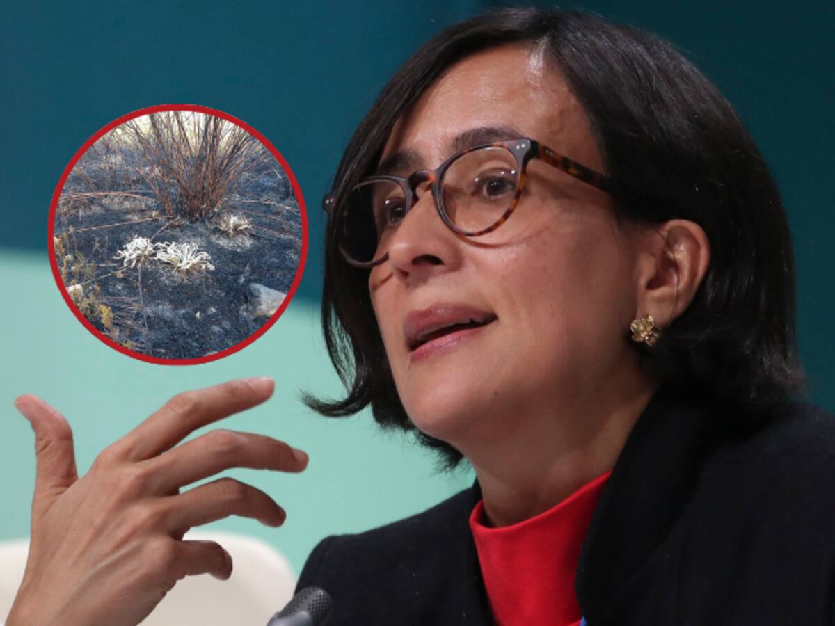 “Hay fuertes indicios de que incendio en Chingaza fue provocado”: esto dijo la ministra Muhamad