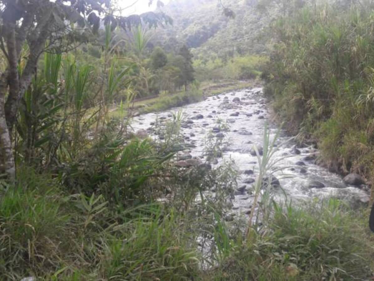 Las noticias más importantes de Armenia y Quindío, jueves 27 de septiembre