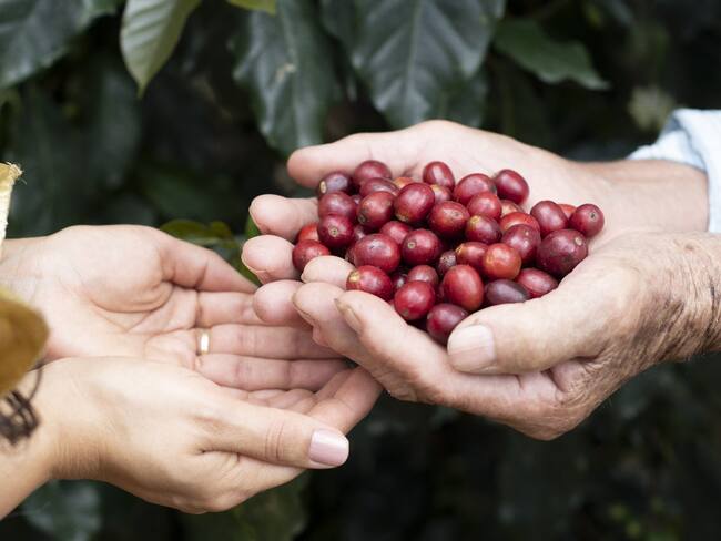 En materia de financiamiento se lograron atender 4.078 beneficiarios a través del Convenio FINAGRO – Gobernación del Huila, con una colocación de recursos por más de $16.000 millones, a través de líneas especiales de crédito para mujeres y jóvenes rurales.