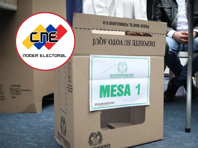 Habrán más de 9.600 testigos electorales en el exterior. / Foto: Suministrada