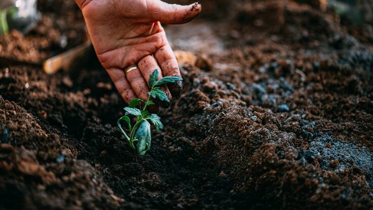 Colombia Visible con mujeres de Ciudad Bolívar y cultivos más sanos