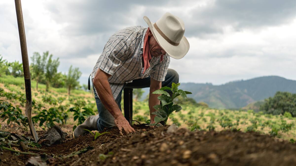 “En ningún candidato vemos reflejadas las necesidades del sector agropecuario”: SAC