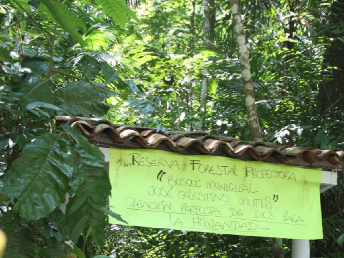 Distrito insiste en urbanización en reserva forestal Van Der Hammen