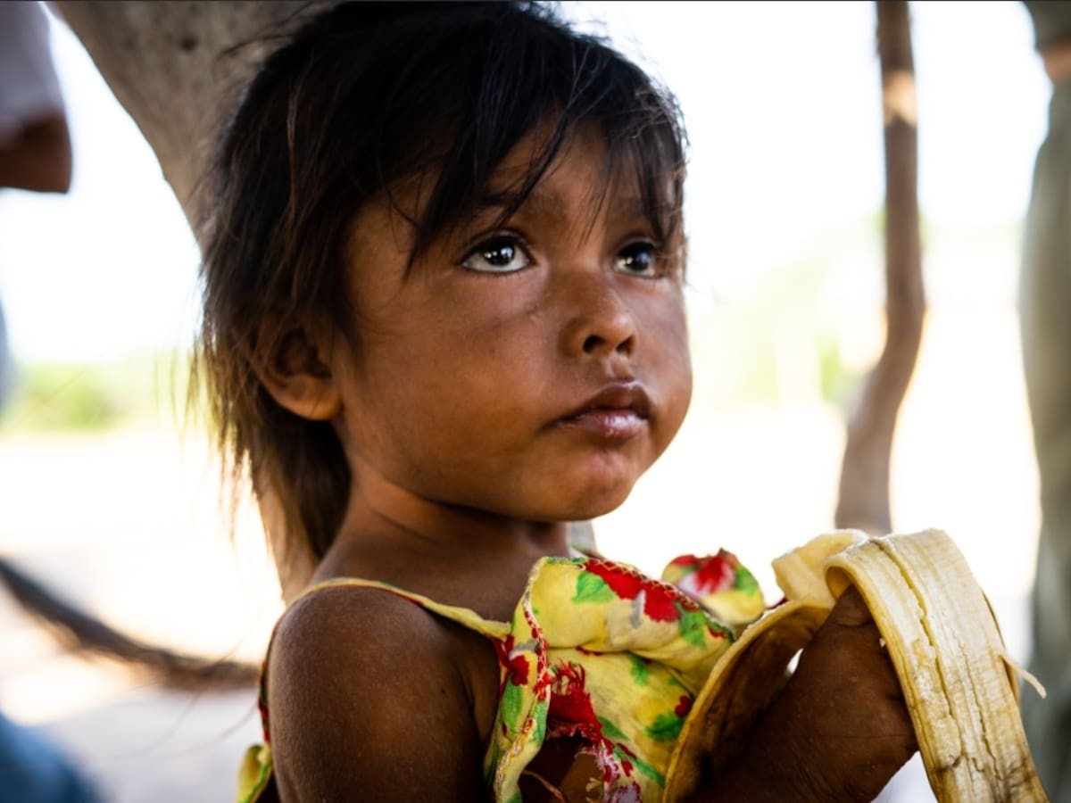 Inseguridad alimentaria: el daño irremediable que el hambre causó en el cerebro de Érika