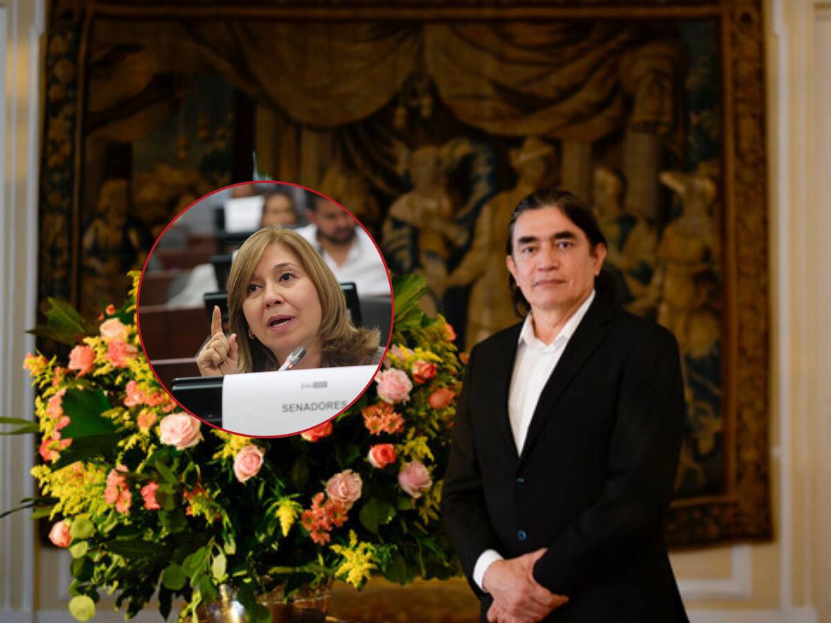 La plata para el adulto mayor está garantizada si no se cae la reforma pensional: Bolívar