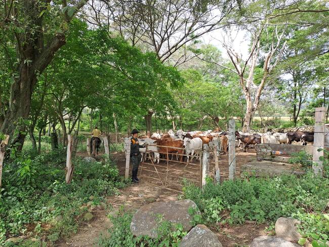 Finca Segura es el plan que se presentó en el Tolima