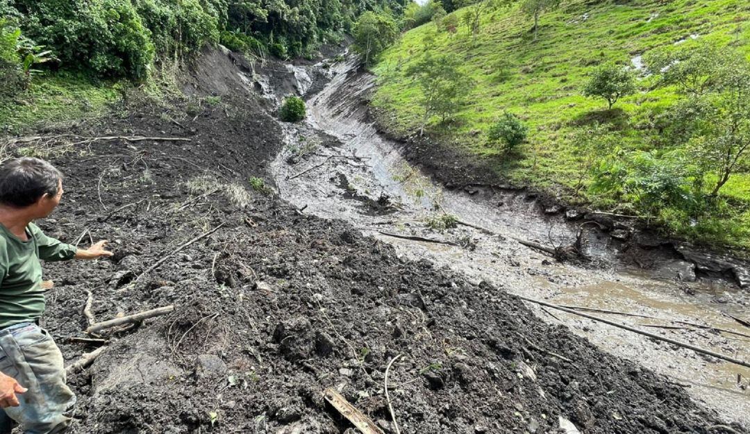 Emergencia - Alcaldia de Buenavista