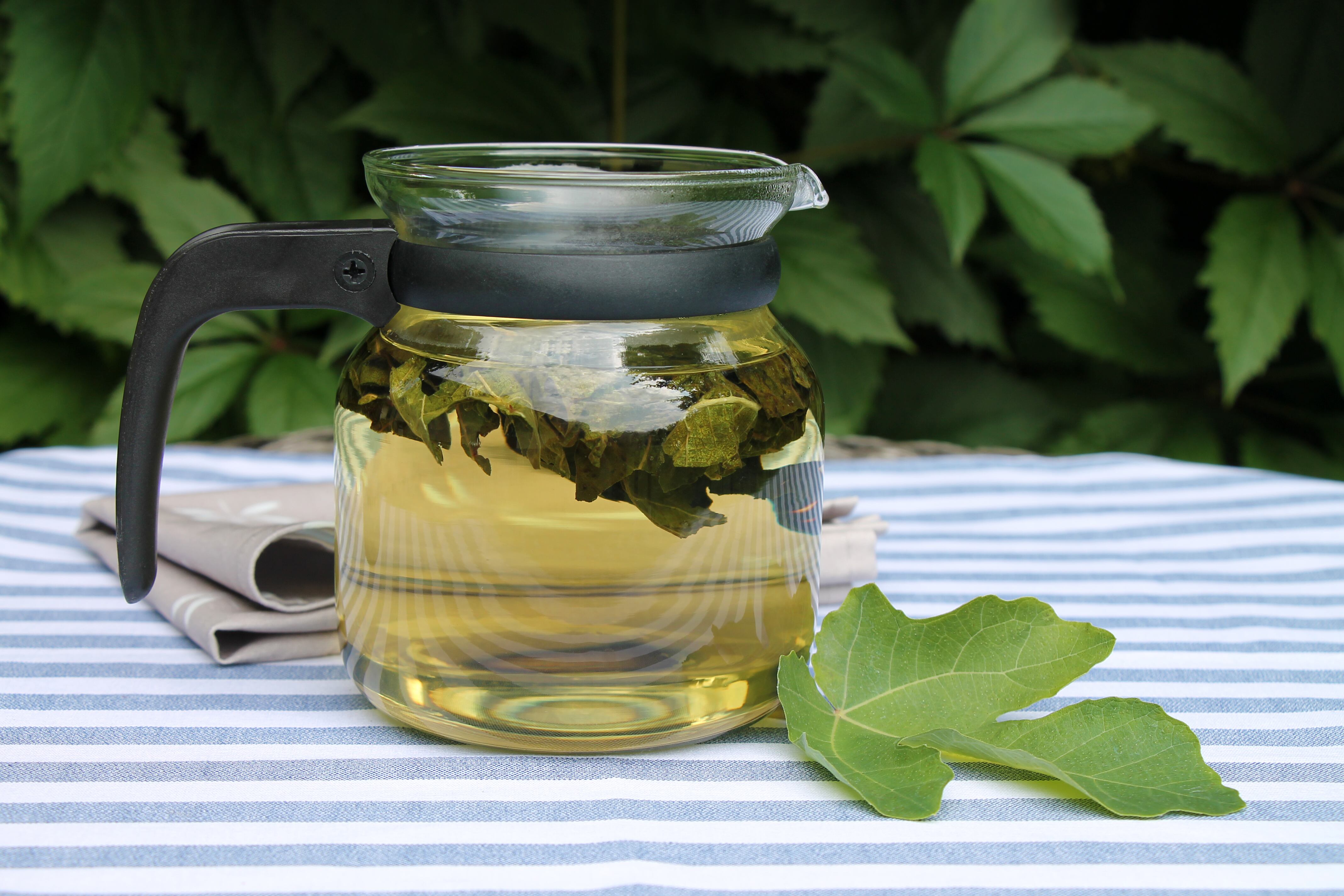 Fig leaf tea in teapot on striped tablecloth in garden close-up.