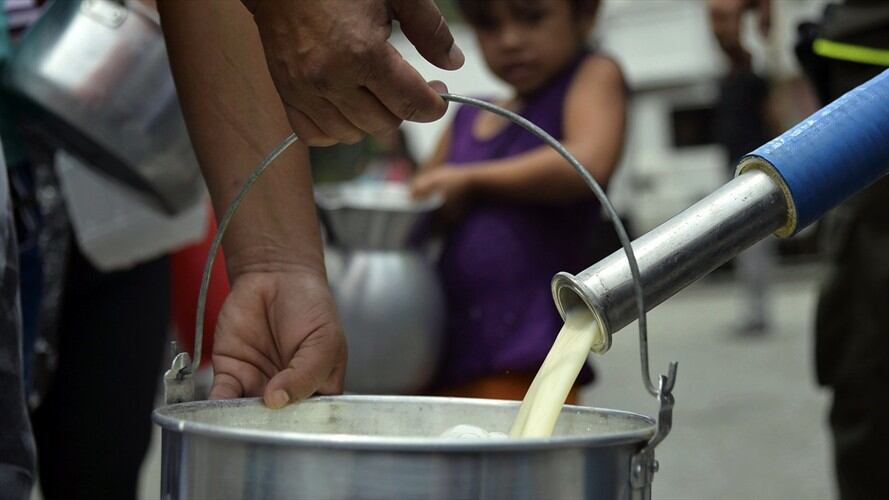 Inversión de $1.500 millones busca beneficiar a productores de leche en Cundinamarca Foto: Getty Images