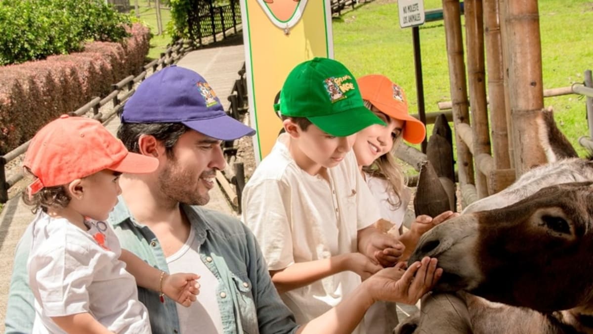 ¿Qué atracciones tiene el Parque Consotá en Pereira? Valor de la entrada para particulares