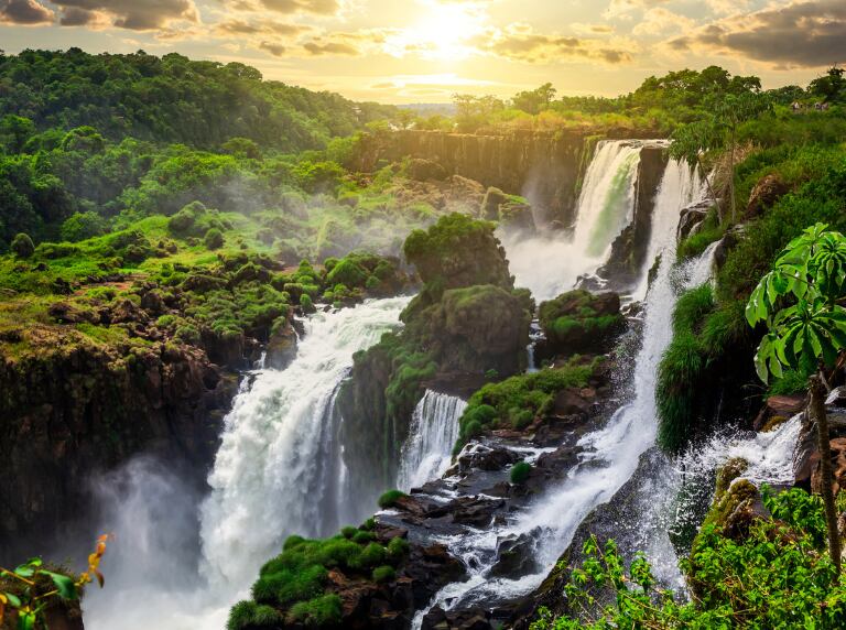 Getty Images / Cascadas y bosque