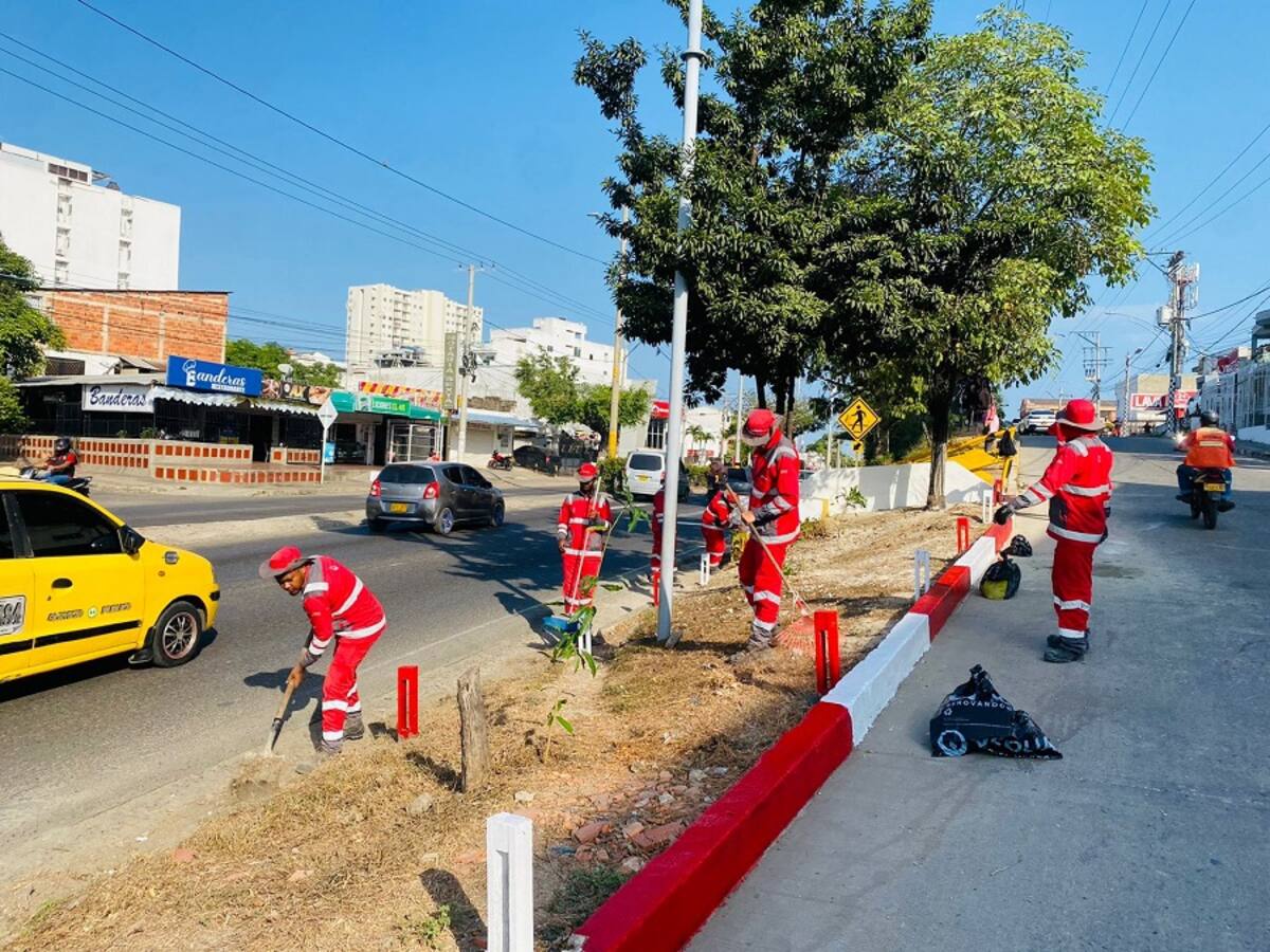 Veolia realizó embellecimiento y limpieza integral en avenida Crisanto Luque