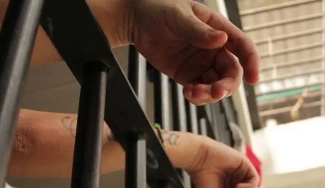 Imagen de referencia