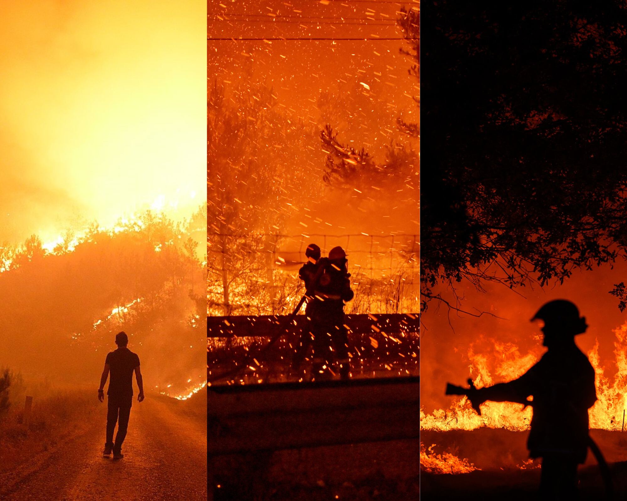 Los incendios, concentrados en áreas forestales, se han agravado por sequía, viento y altas temperaturas.
(Foto:   Caracol Radio / Getty)