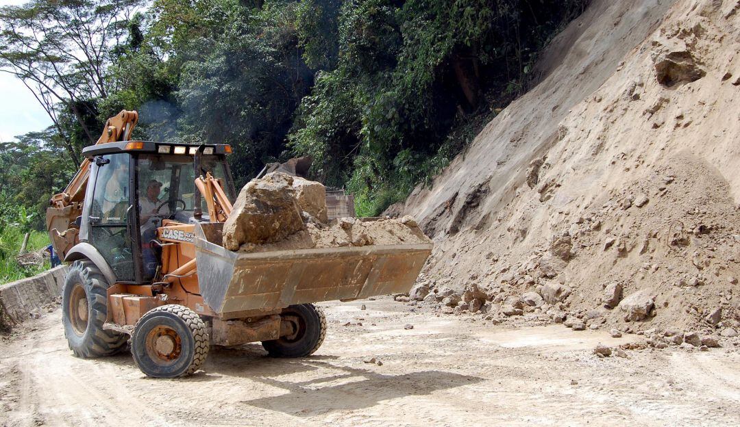 Imagen de referencia 