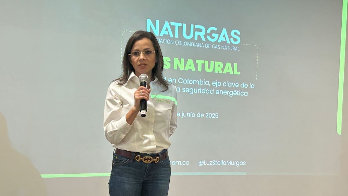 El reclamo de Naturgas al Gobierno por no revertir en la disminución de pozos exploratorios